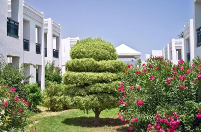 El Borj Mahdia