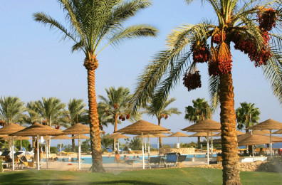 Domina Coral Bay King`s Lake