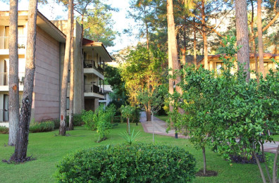 Champion Holiday Village