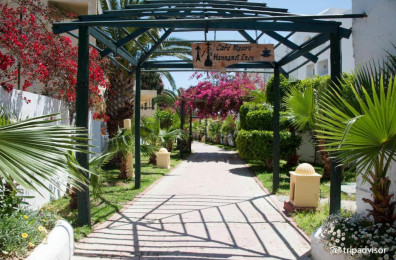 Nesrine Hammamet