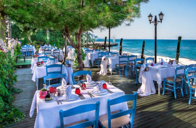 Gypsophila Club Marine